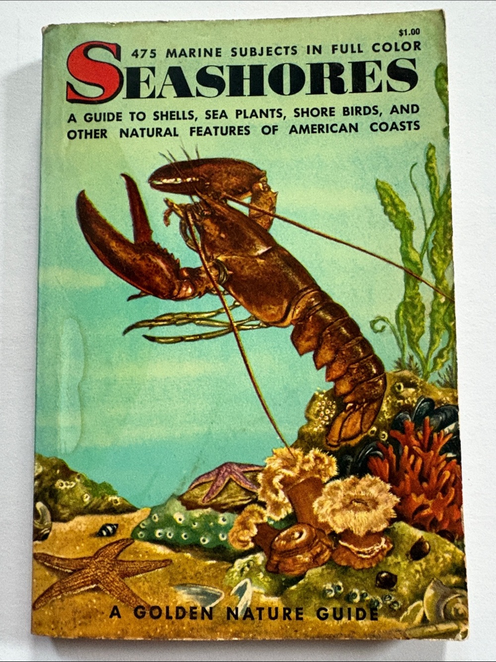 Seashores Vintage Nature Guide Book - Green & Brown Cover